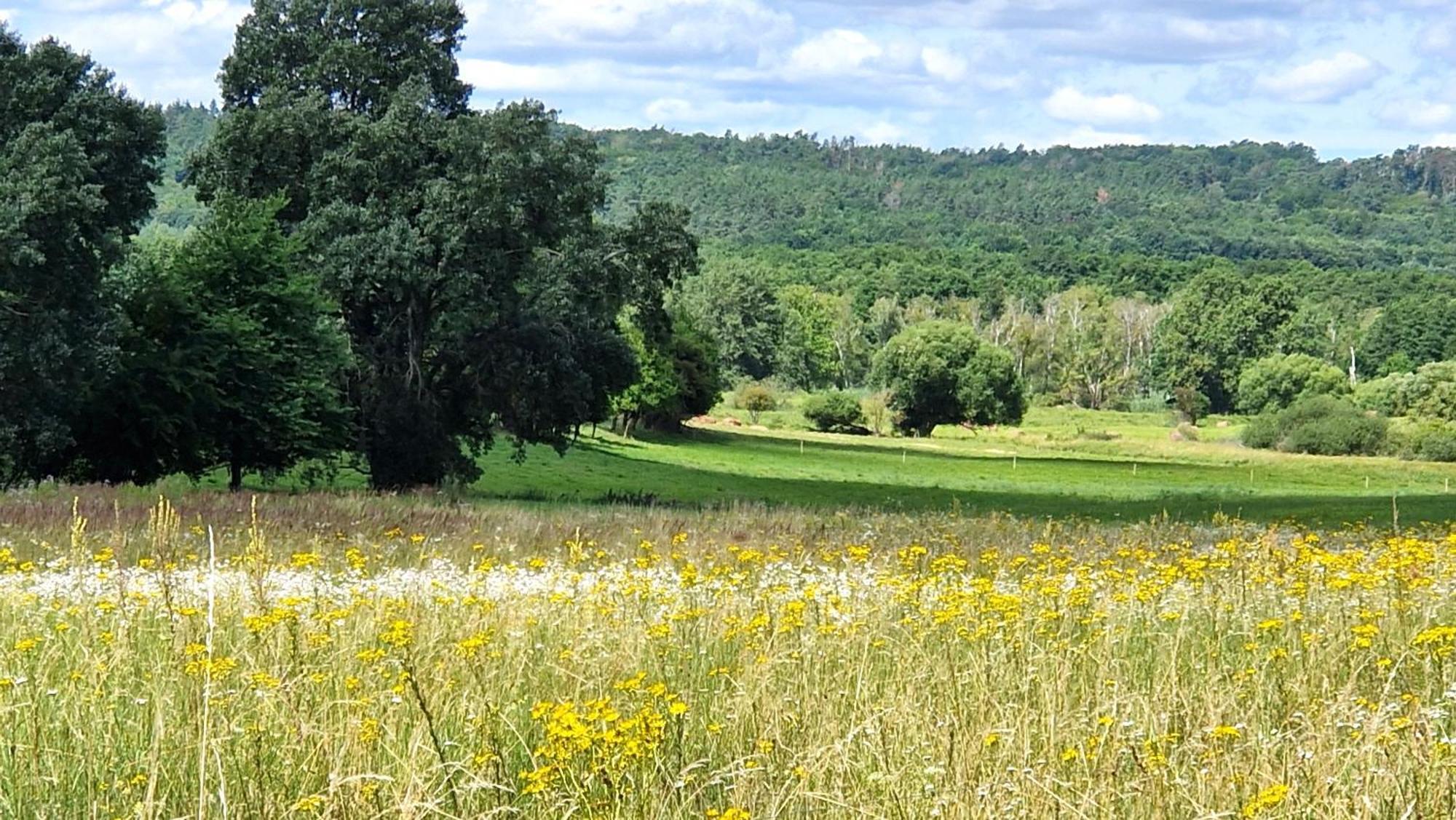 Villa Orlik Barlinek Εξωτερικό φωτογραφία