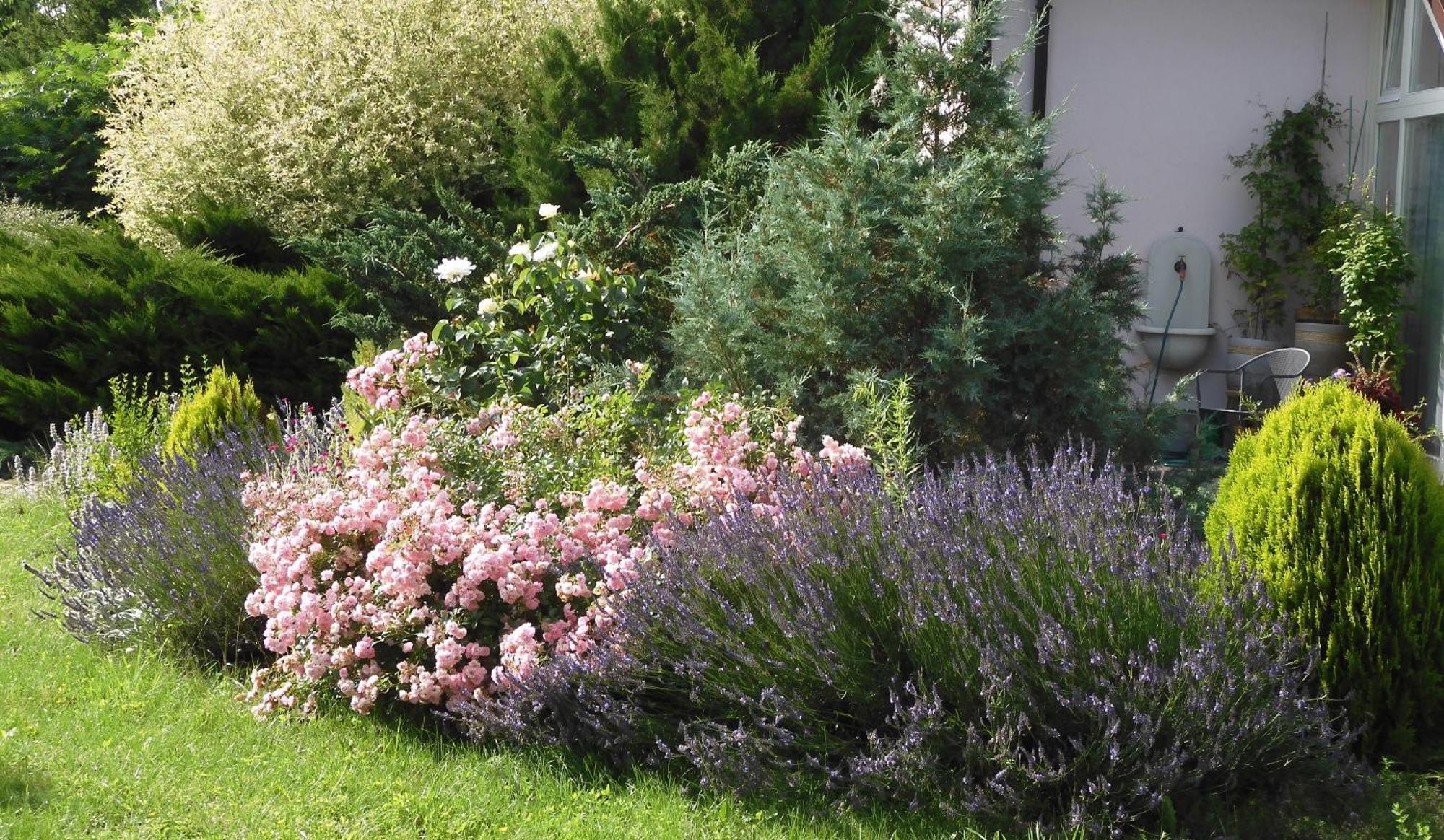 Villa Orlik Barlinek Εξωτερικό φωτογραφία