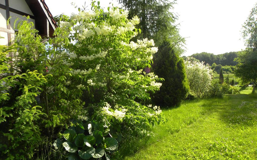 Villa Orlik Barlinek Εξωτερικό φωτογραφία