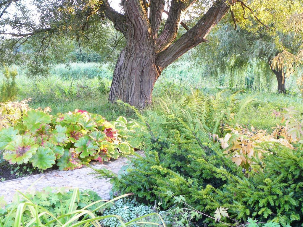 Villa Orlik Barlinek Εξωτερικό φωτογραφία