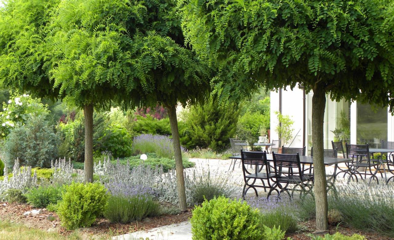 Villa Orlik Barlinek Εξωτερικό φωτογραφία